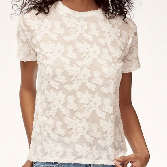 🦁Aritzia- Wilfred Tarascon Pink tee - Picture 2 of 5